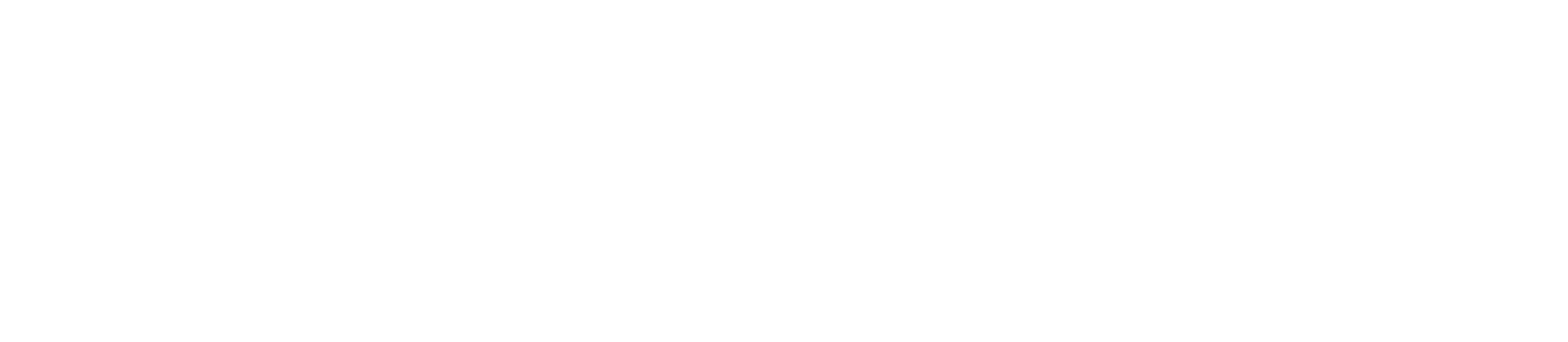 The Loose Company
