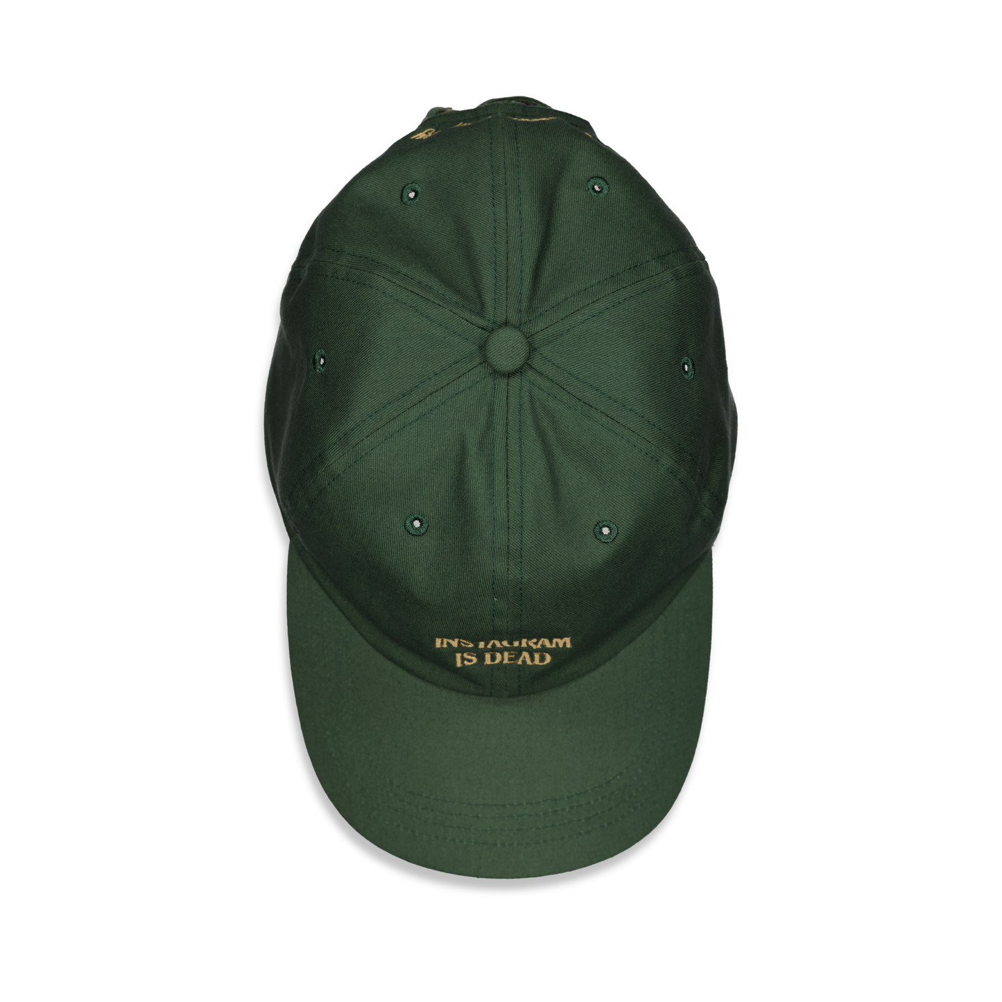 INSTAGRAM IS DEAD CAP