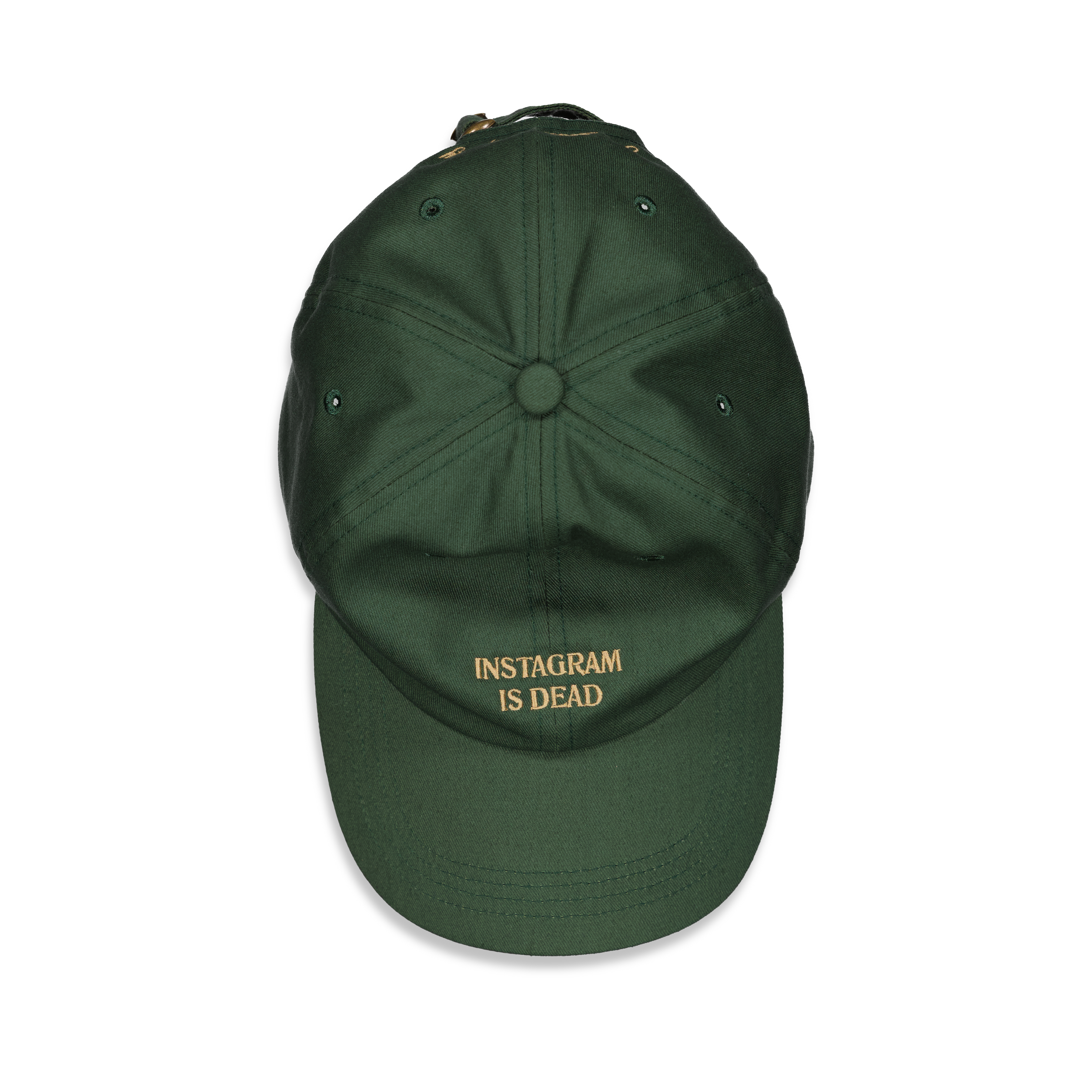 INSTAGRAM IS DEAD CAP