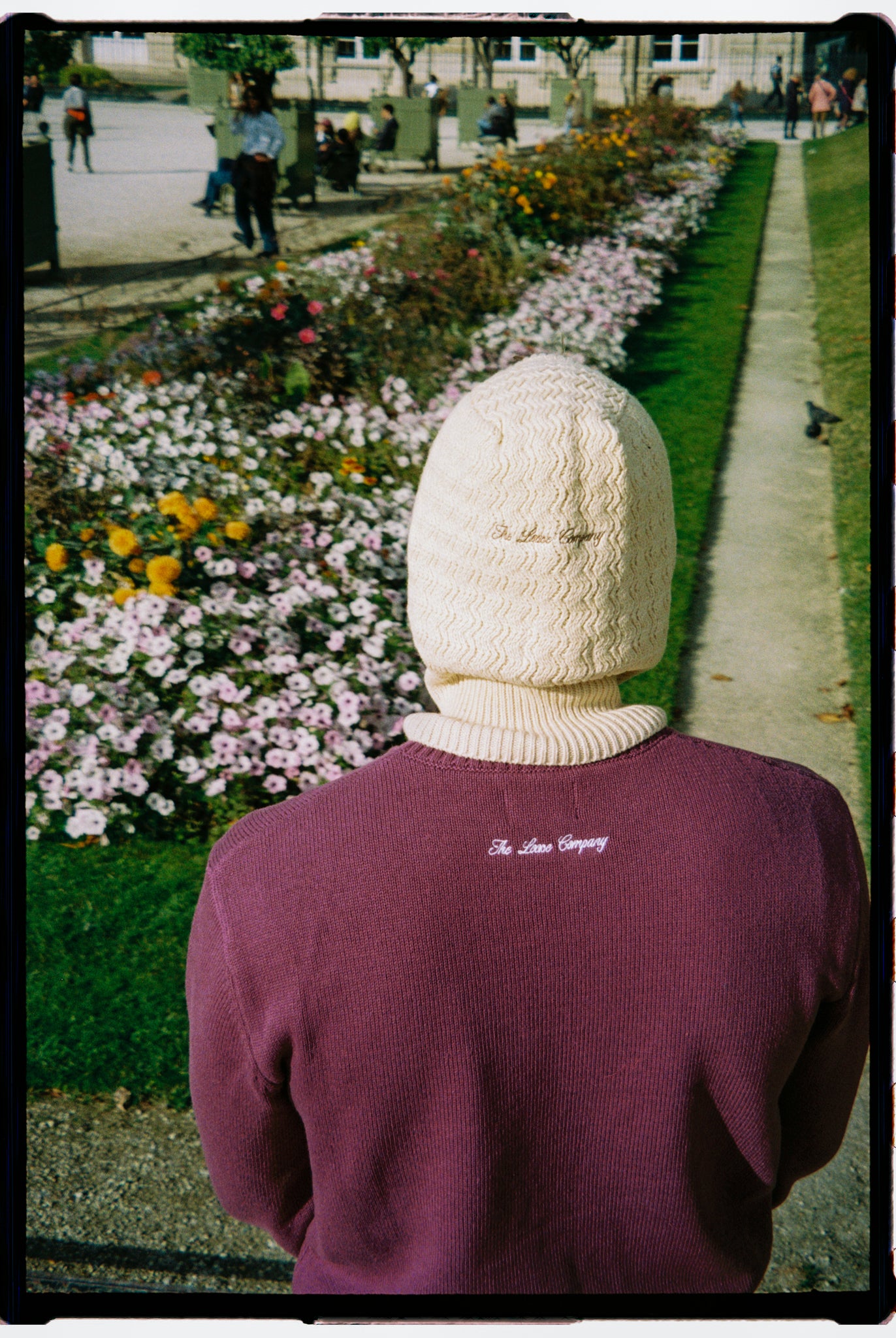 FOOD KNITTED SWEATER